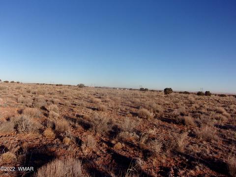 8184 Chipewa Trl, Snowflake, AZ 85937 photo 3