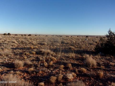 8184 Chipewa Trl, Snowflake, AZ 85937 photo 4