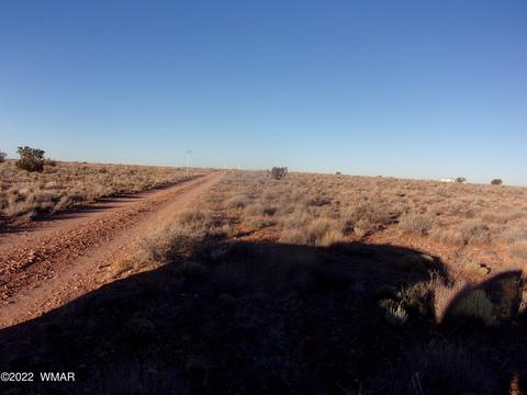 8184 Chipewa Trl, Snowflake, AZ 85937 photo 2