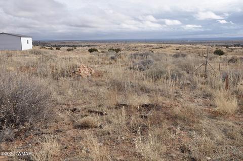 8654 Ledger Ranch Trl, Snowflake, AZ 85937 photo 30