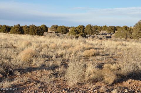 8654 Ledger Ranch Trl, Snowflake, AZ 85937 photo 49