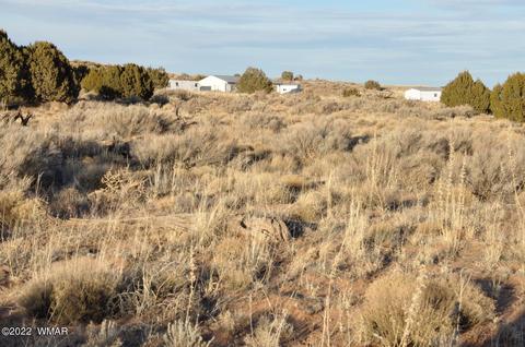 8654 Ledger Ranch Trl, Snowflake, AZ 85937 photo 50