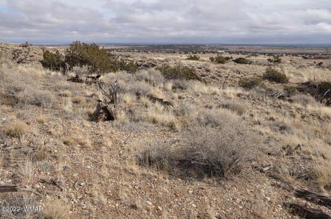 8654 Ledger Ranch Trl, Snowflake, AZ 85937 photo 43