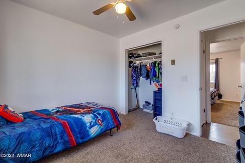 724 S School Bus Rd, Eagar, AZ 85925 photo 21