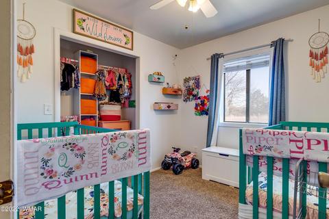 724 S School Bus Rd, Eagar, AZ 85925 photo 18