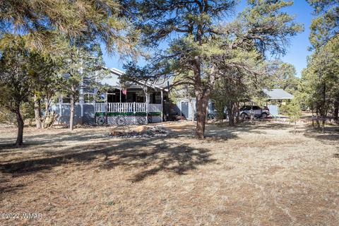 3590 Buckskin Rd, Overgaard, AZ 85933 photo 1