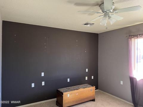 153 E 5th St, Eagar, AZ 85925 photo 14