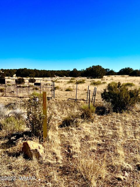 3156 Jackrabbit Dr, Williams, AZ 86046 photo 8