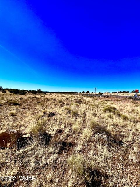 3156 Jackrabbit Dr, Williams, AZ 86046 photo 27