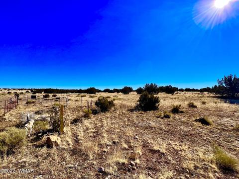 3156 Jackrabbit Dr, Williams, AZ 86046 photo 23
