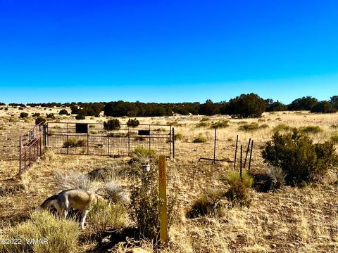 3156 Jackrabbit Dr, Williams, AZ 86046 photo 22