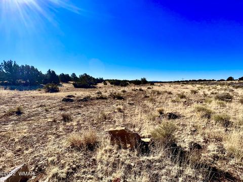 3156 Jackrabbit Dr, Williams, AZ 86046 photo 20