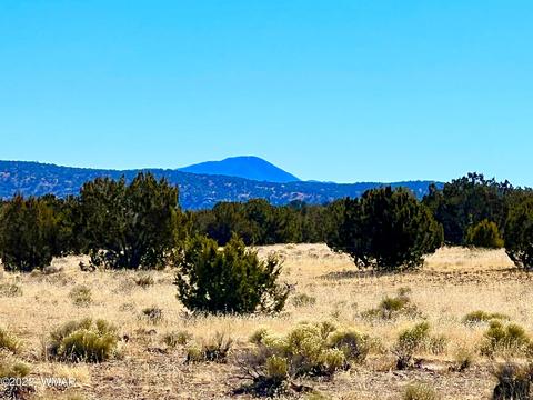 3156 Jackrabbit Dr, Williams, AZ 86046 photo 2