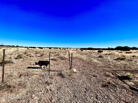 3156 Jackrabbit Dr, Williams, AZ 86046 photo 19