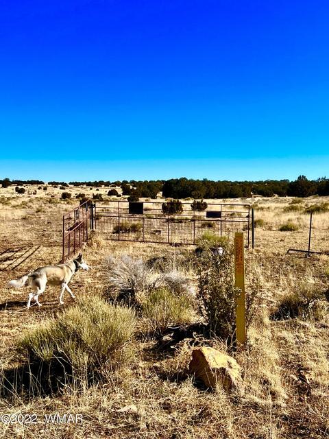 3156 Jackrabbit Dr, Williams, AZ 86046 photo 9