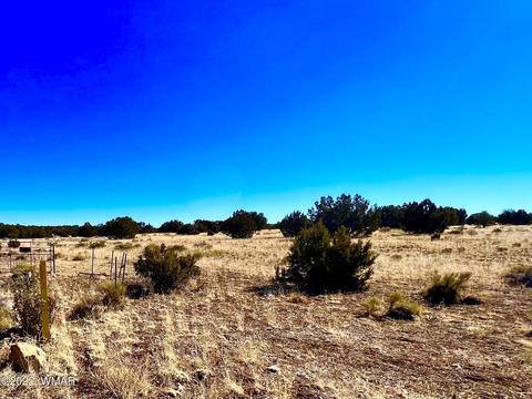 3156 Jackrabbit Dr, Williams, AZ 86046 photo 10