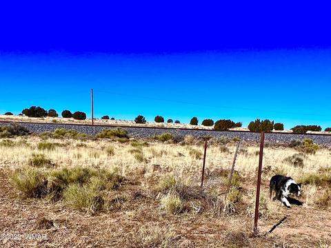 3156 Jackrabbit Dr, Williams, AZ 86046 photo 13