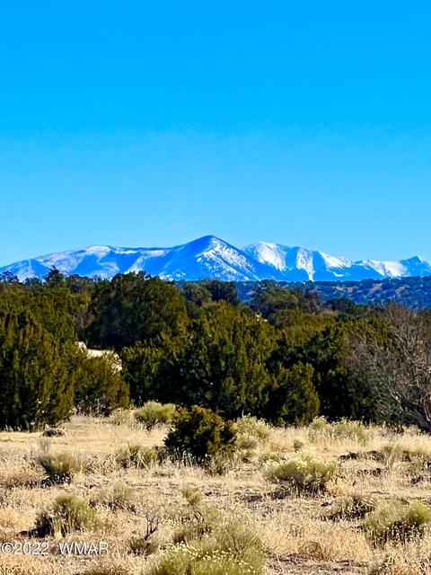 3156 Jackrabbit Dr, Williams, AZ 86046 photo 4