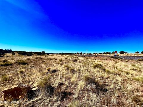 3156 Jackrabbit Dr, Williams, AZ 86046 photo 30