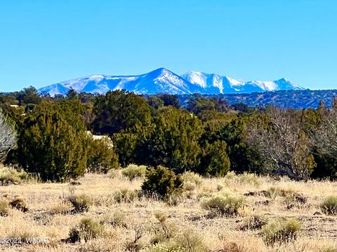 3156 Jackrabbit Dr, Williams, AZ 86046 photo 1