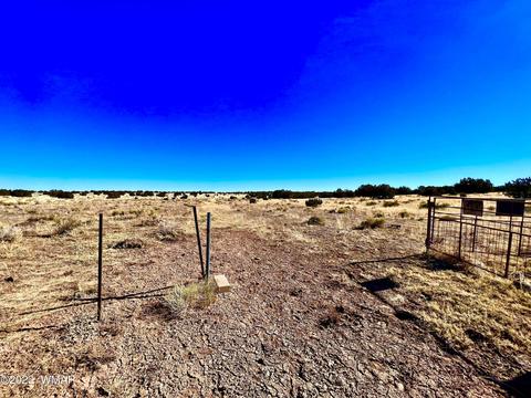 3156 Jackrabbit Dr, Williams, AZ 86046 photo 15