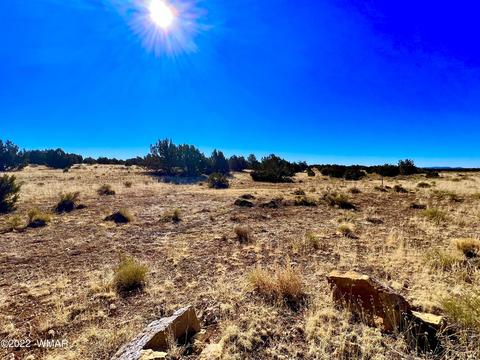 3156 Jackrabbit Dr, Williams, AZ 86046 photo 24