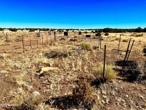 3156 Jackrabbit Dr, Williams, AZ 86046 photo 6