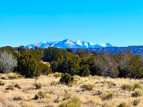 3156 Jackrabbit Dr, Williams, AZ 86046 photo 3