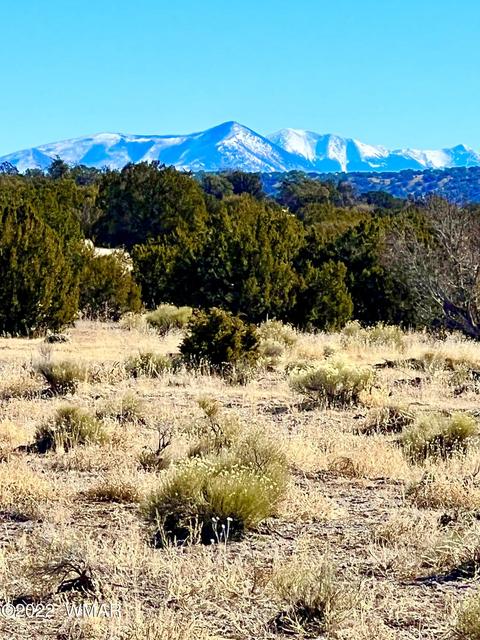 3156 Jackrabbit Dr, Williams, AZ 86046 photo 5