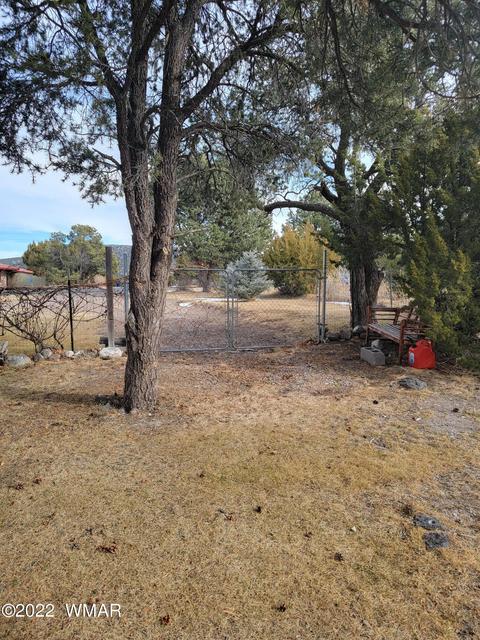 1192 S Jimmy St, Eagar, AZ 85925 photo 38