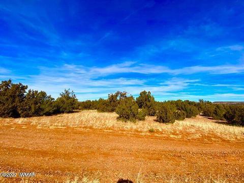 4173 Rock Rd, Snowflake, AZ 85937 photo 6