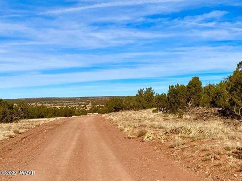 4173 Rock Rd, Snowflake, AZ 85937 photo 2