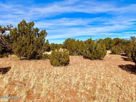 4173 Rock Rd, Snowflake, AZ 85937 photo 7