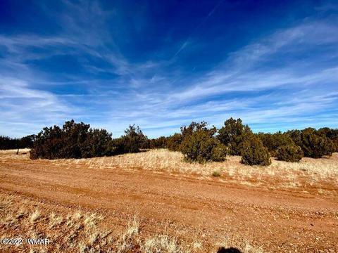 4173 Rock Rd, Snowflake, AZ 85937 photo 5