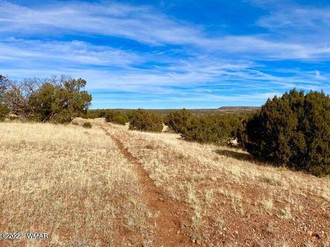 4173 Rock Rd, Snowflake, AZ 85937 photo 4