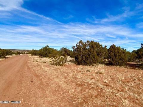 4173 Rock Rd, Snowflake, AZ 85937 photo 3