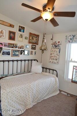 4915 Jack Rabbit Rd, Snowflake, AZ 85937 photo 17