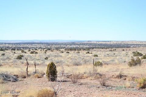 4915 Jack Rabbit Rd, Snowflake, AZ 85937 photo 53