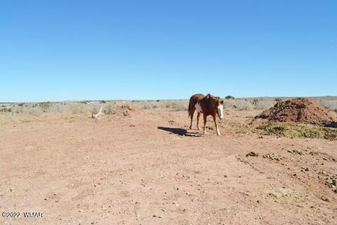 4915 Jack Rabbit Rd, Snowflake, AZ 85937 photo 41