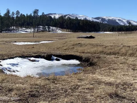 1 Forest Road 26 # a, Alpine, AZ 85920