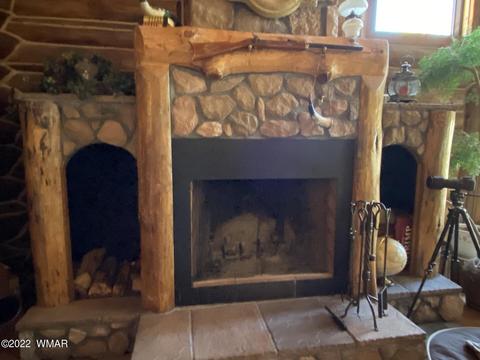 12 County Road 2070, Alpine, AZ 85920 photo 9