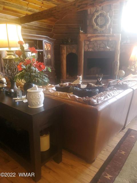 12 County Road 2070, Alpine, AZ 85920 photo 31
