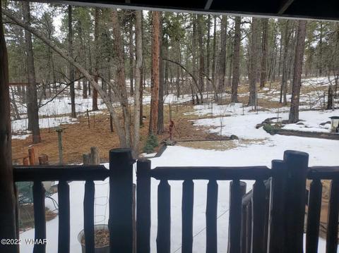 12 County Road 2070, Alpine, AZ 85920 photo 8