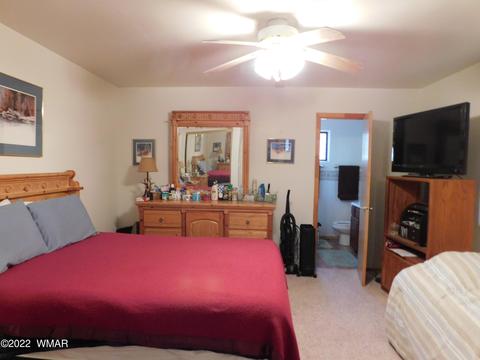 1969 Doe Cir, Overgaard, AZ 85933 photo 8