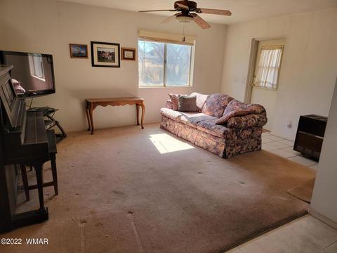 209 E 1st S St, Snowflake, AZ 85937 photo 8