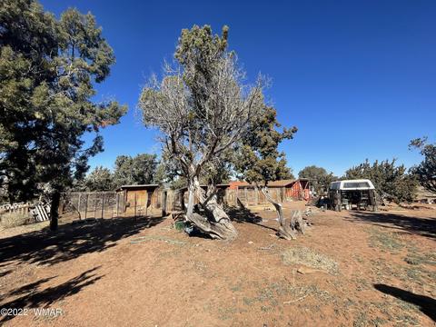 4326 Colt Rd, Snowflake, AZ 85937 photo 12