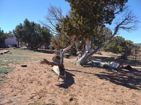 4326 Colt Rd, Snowflake, AZ 85937 photo 16