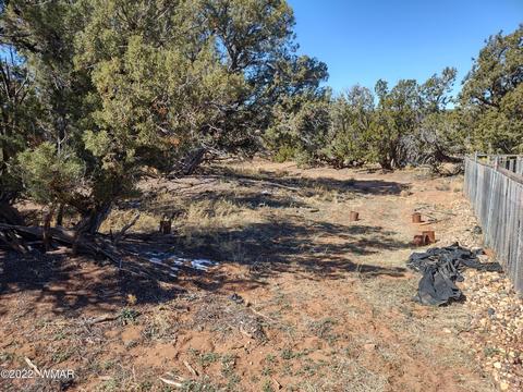 4326 Colt Rd, Snowflake, AZ 85937 photo 38