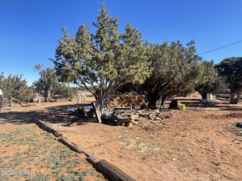 4326 Colt Rd, Snowflake, AZ 85937 photo 11