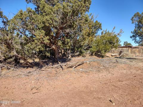 4326 Colt Rd, Snowflake, AZ 85937 photo 36